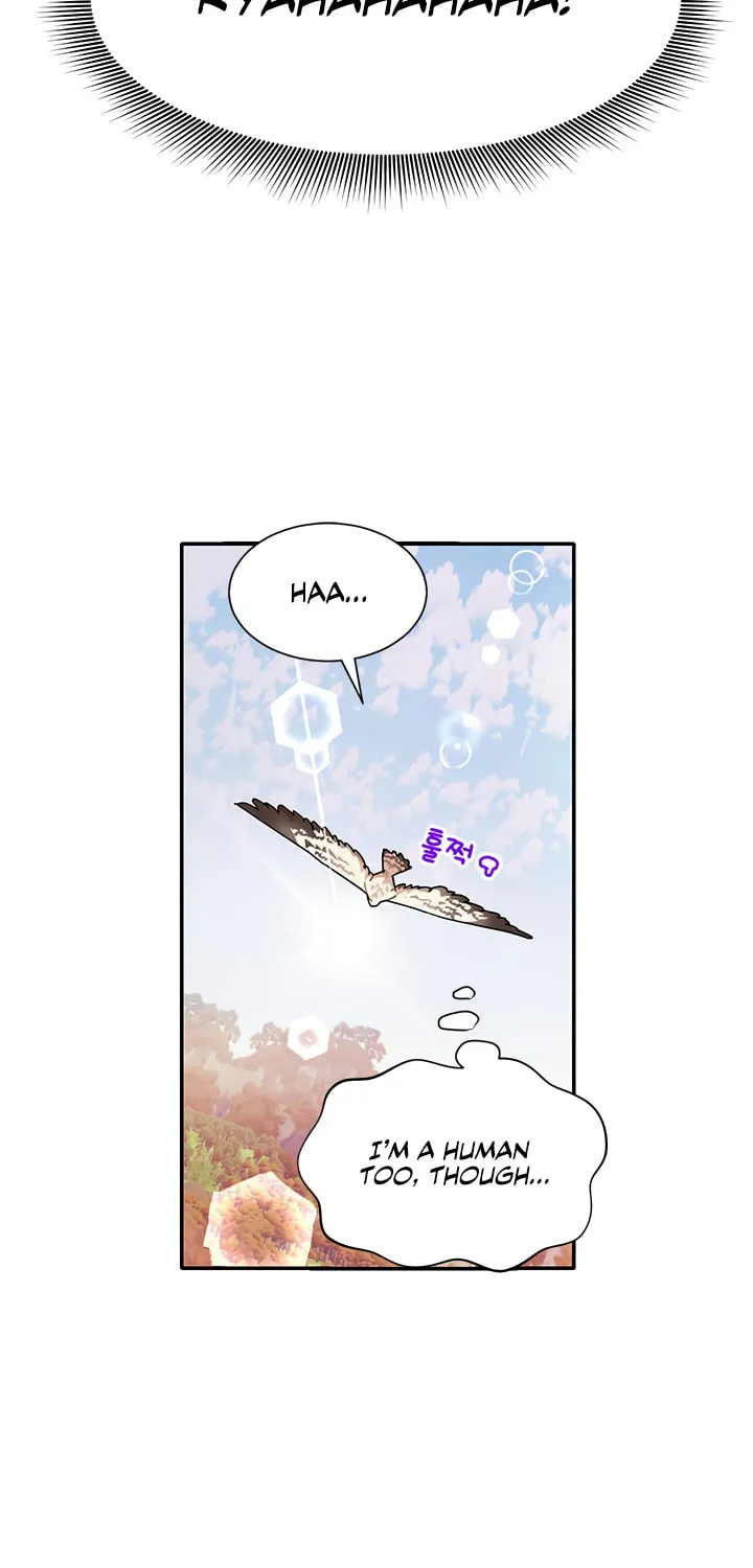 The Falcon Princess Chapter 2 page 24 - 