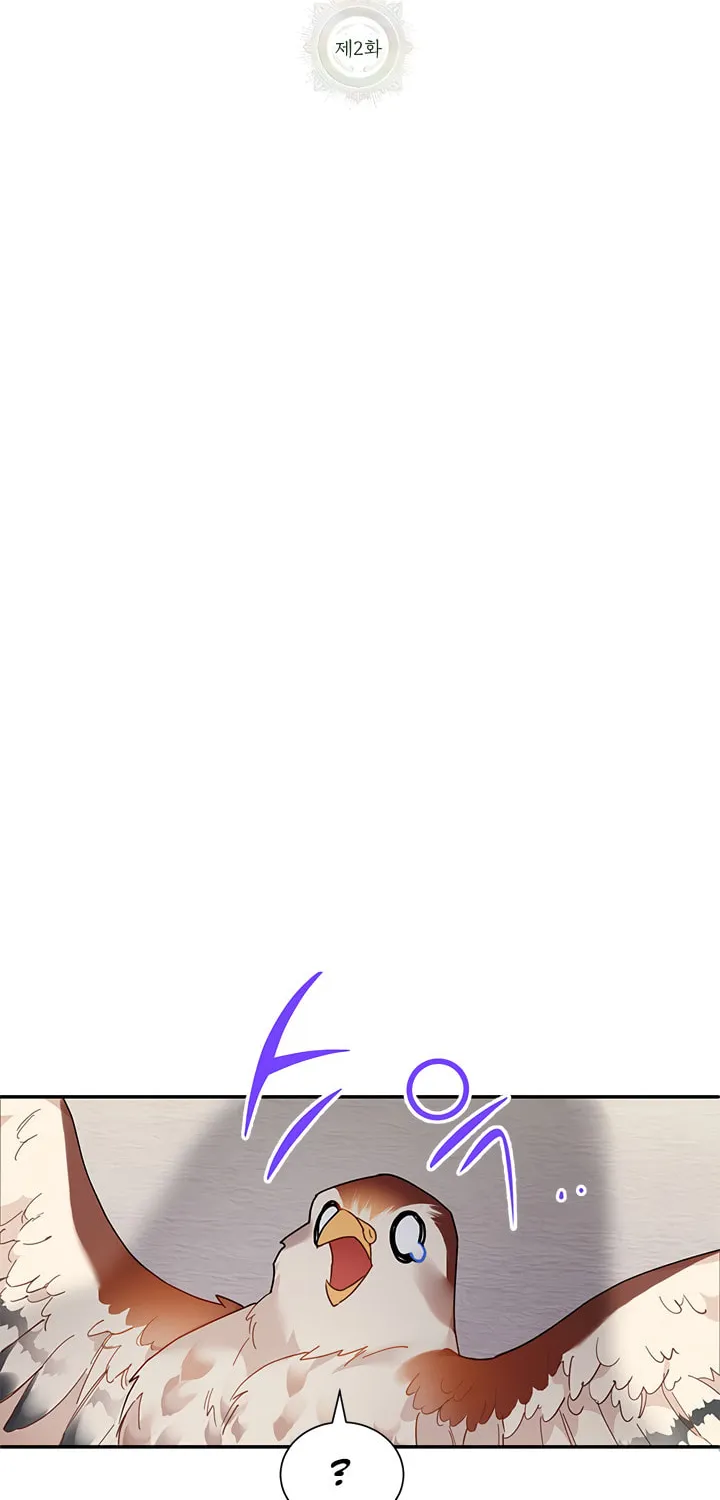 The Falcon Princess Chapter 2 page 9 - 