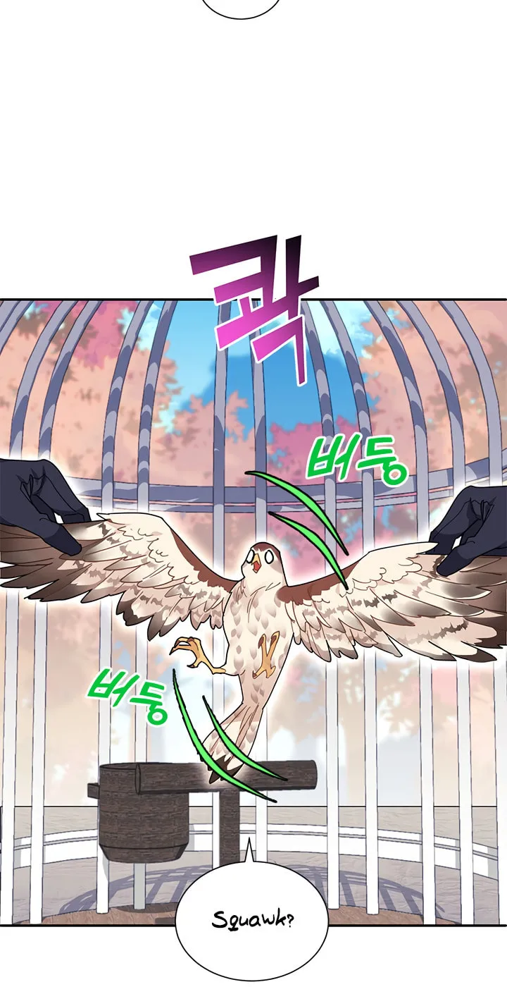 The Falcon Princess Chapter 2 page 10 - 