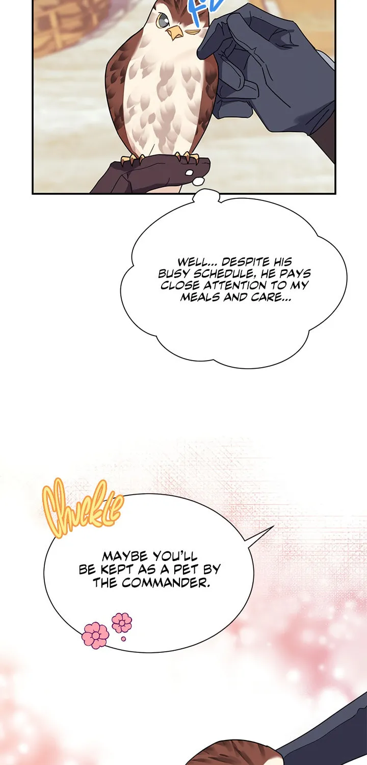The Falcon Princess Chapter 20 page 11 - 