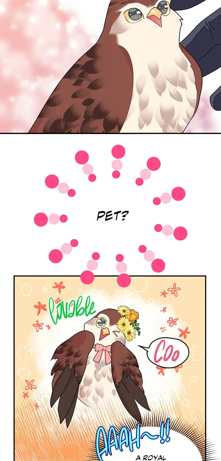 The Falcon Princess Chapter 20 page 12 - 