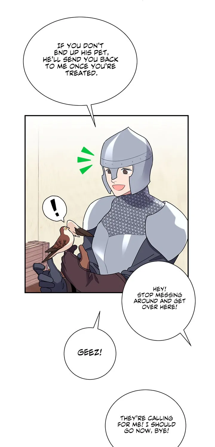 The Falcon Princess Chapter 20 page 14 - 