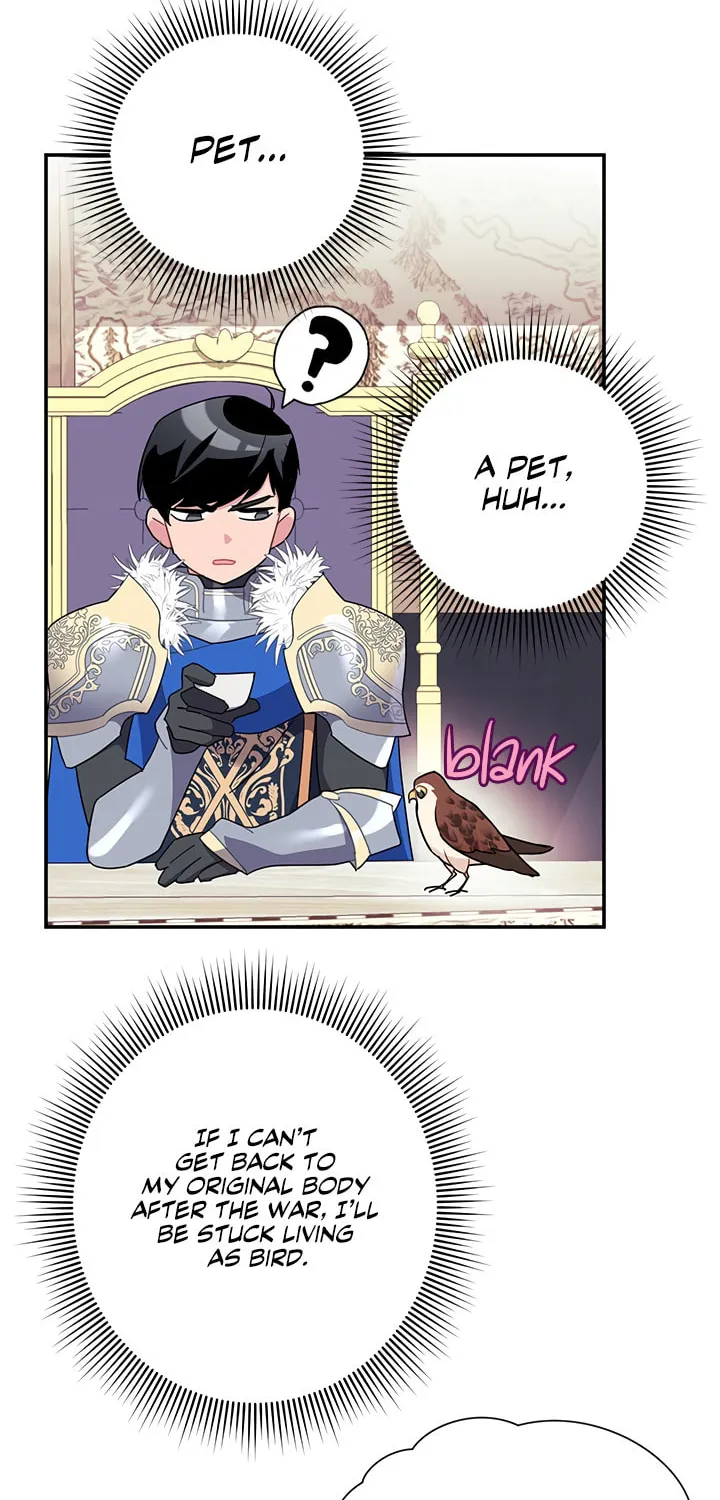 The Falcon Princess Chapter 20 page 17 - 