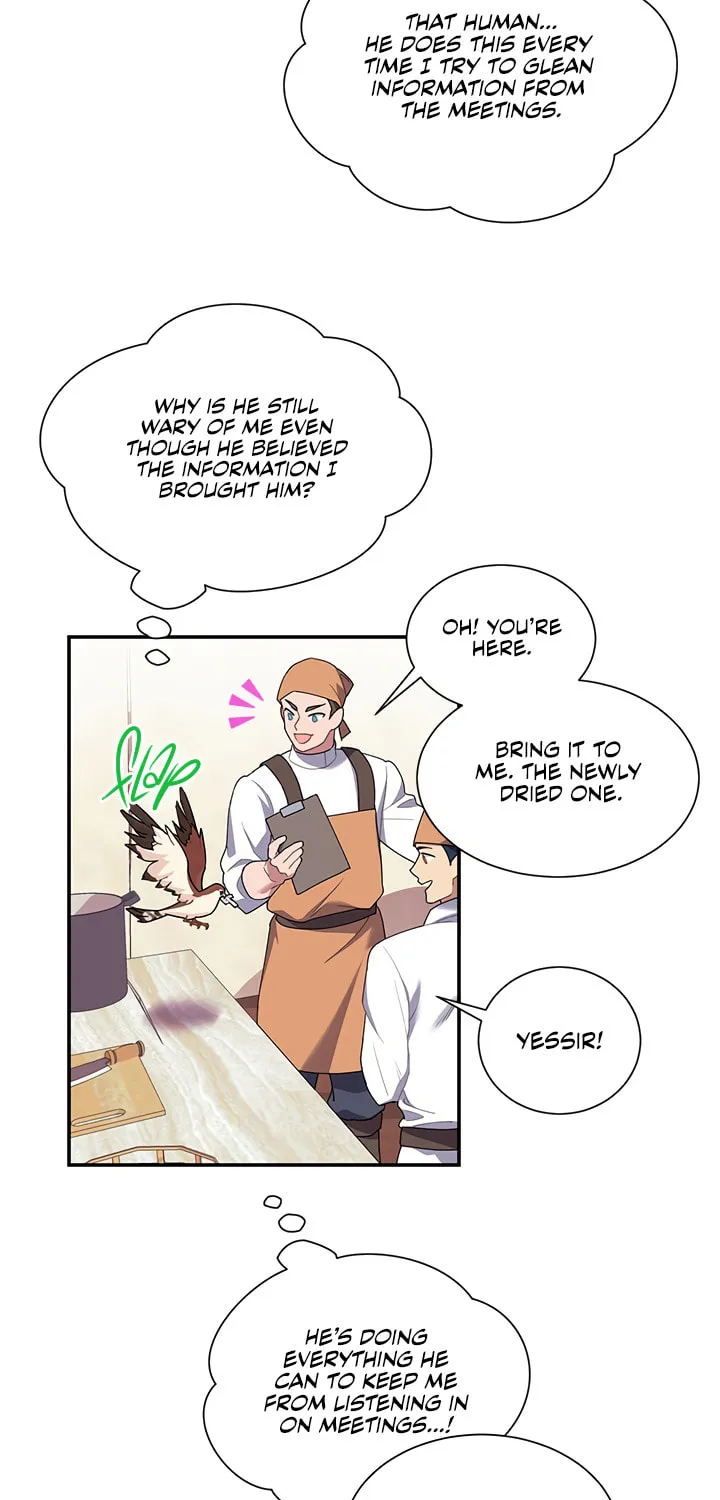 The Falcon Princess Chapter 20 page 3 - 
