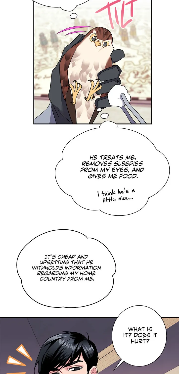 The Falcon Princess Chapter 20 page 22 - 