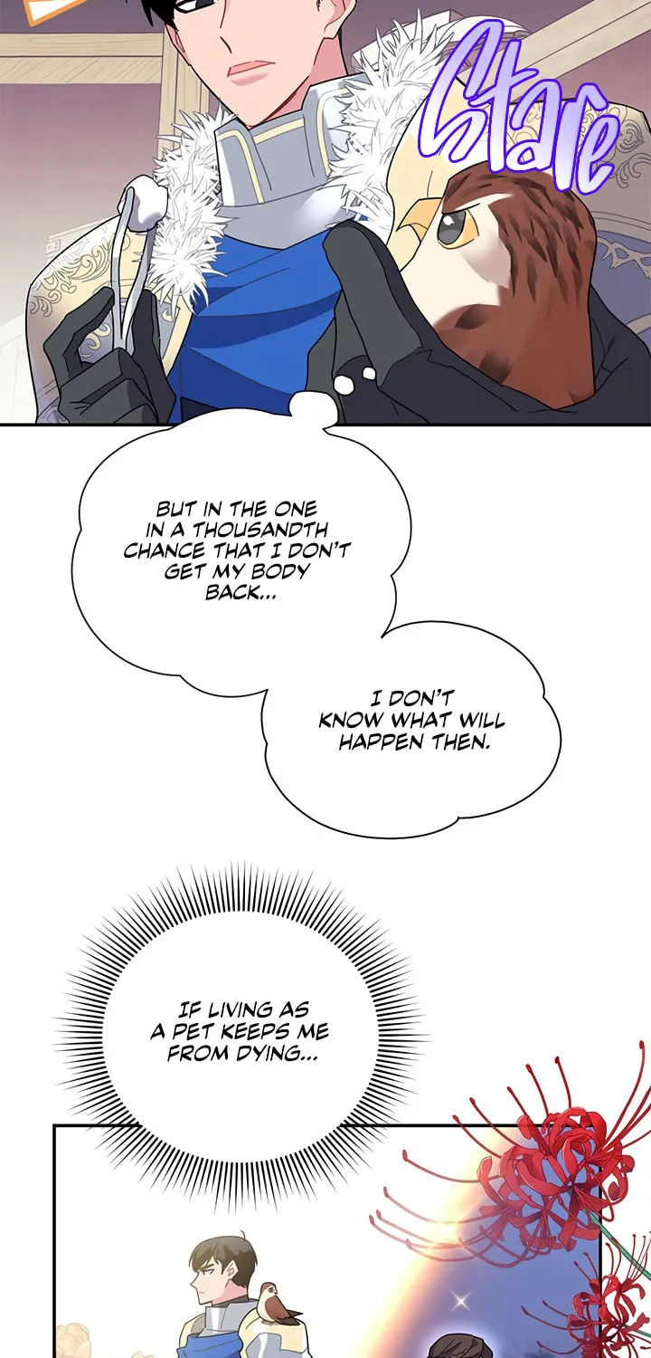The Falcon Princess Chapter 20 page 23 - 