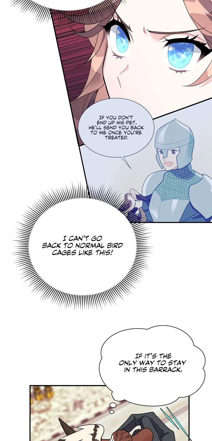 The Falcon Princess Chapter 20 page 29 - 