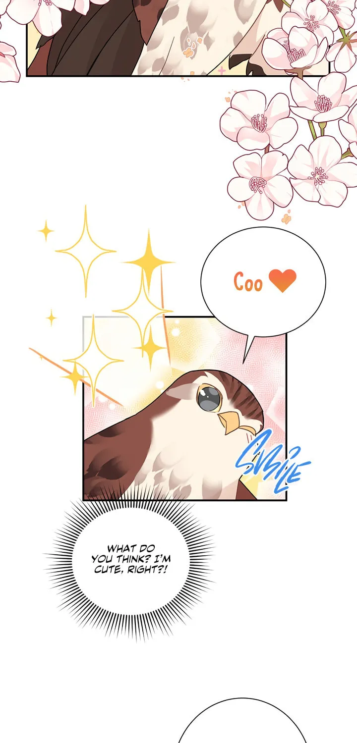 The Falcon Princess Chapter 20 page 32 - 