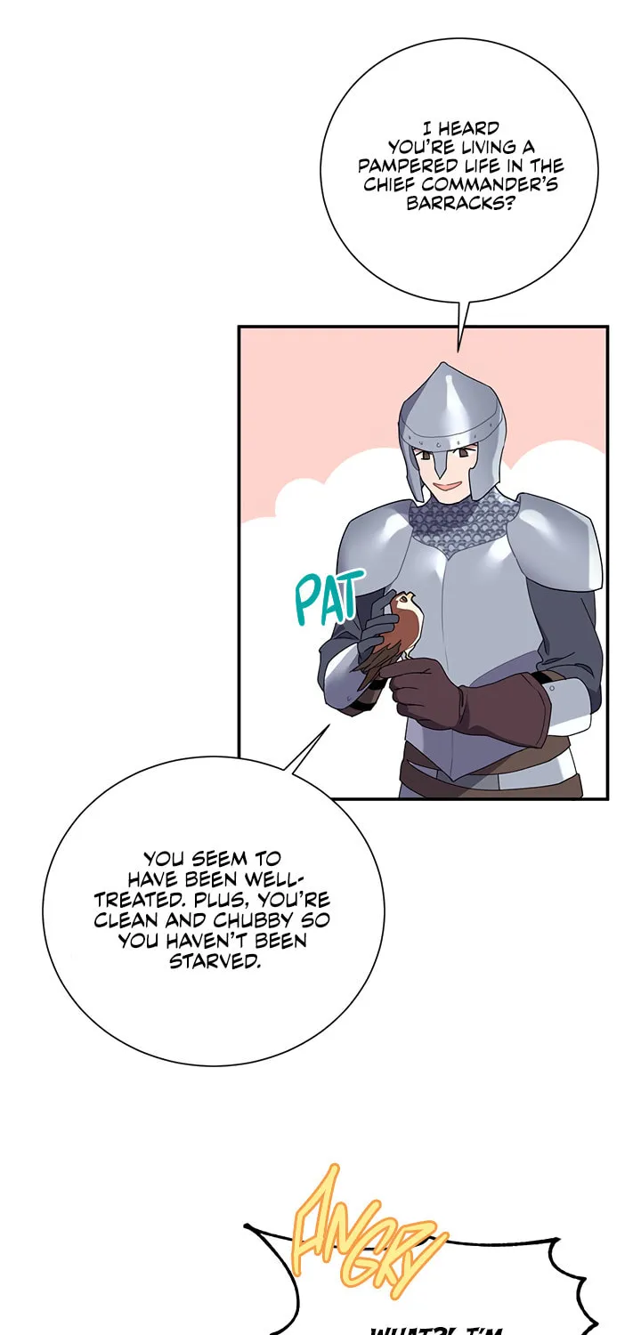 The Falcon Princess Chapter 20 page 6 - 