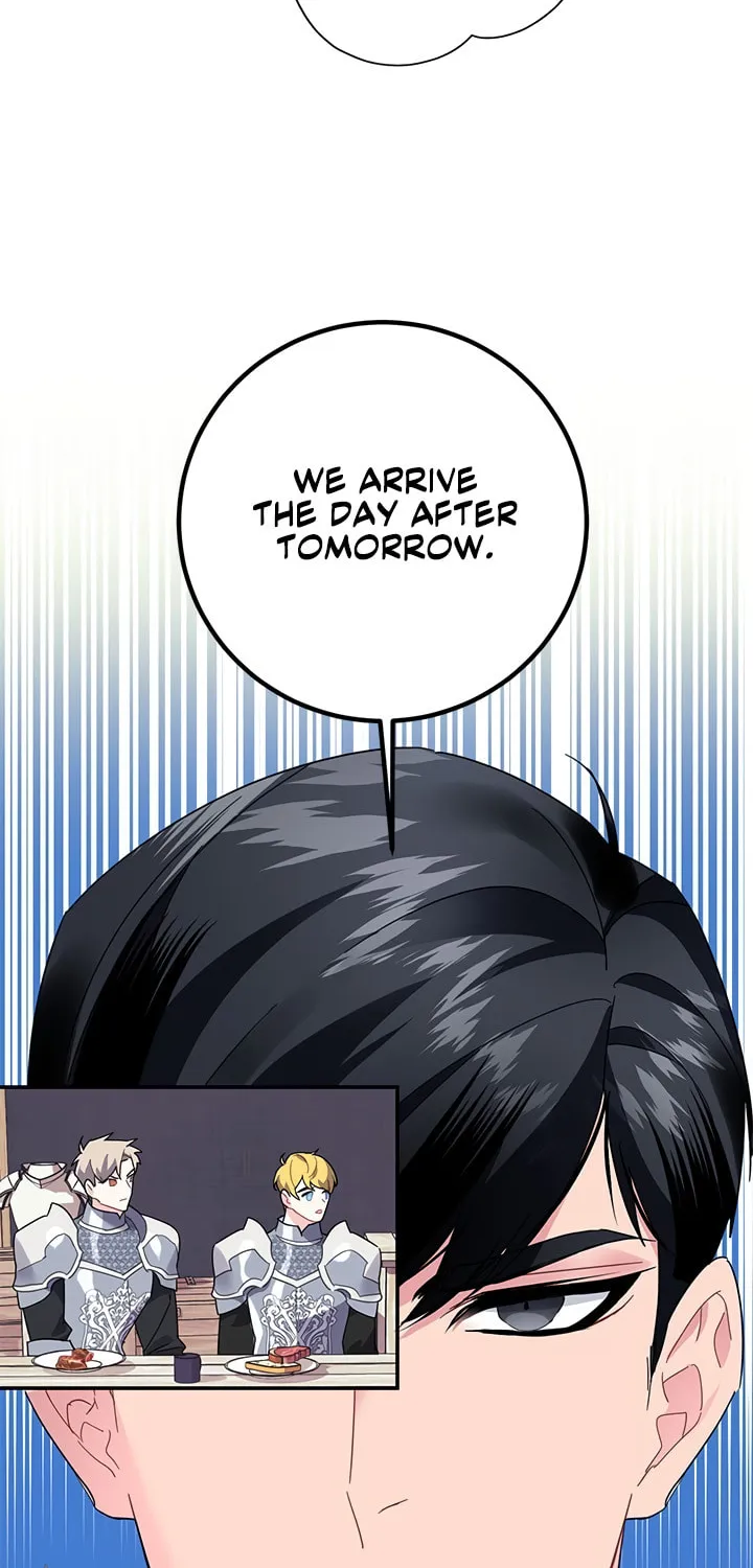 The Falcon Princess Chapter 20 page 66 - 