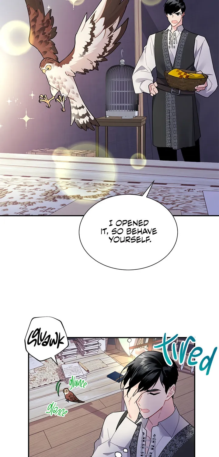 The Falcon Princess Chapter 21 page 4 - 