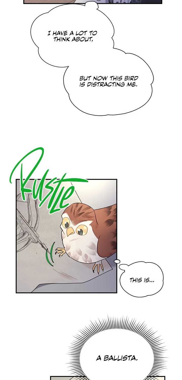 The Falcon Princess Chapter 21 page 5 - 