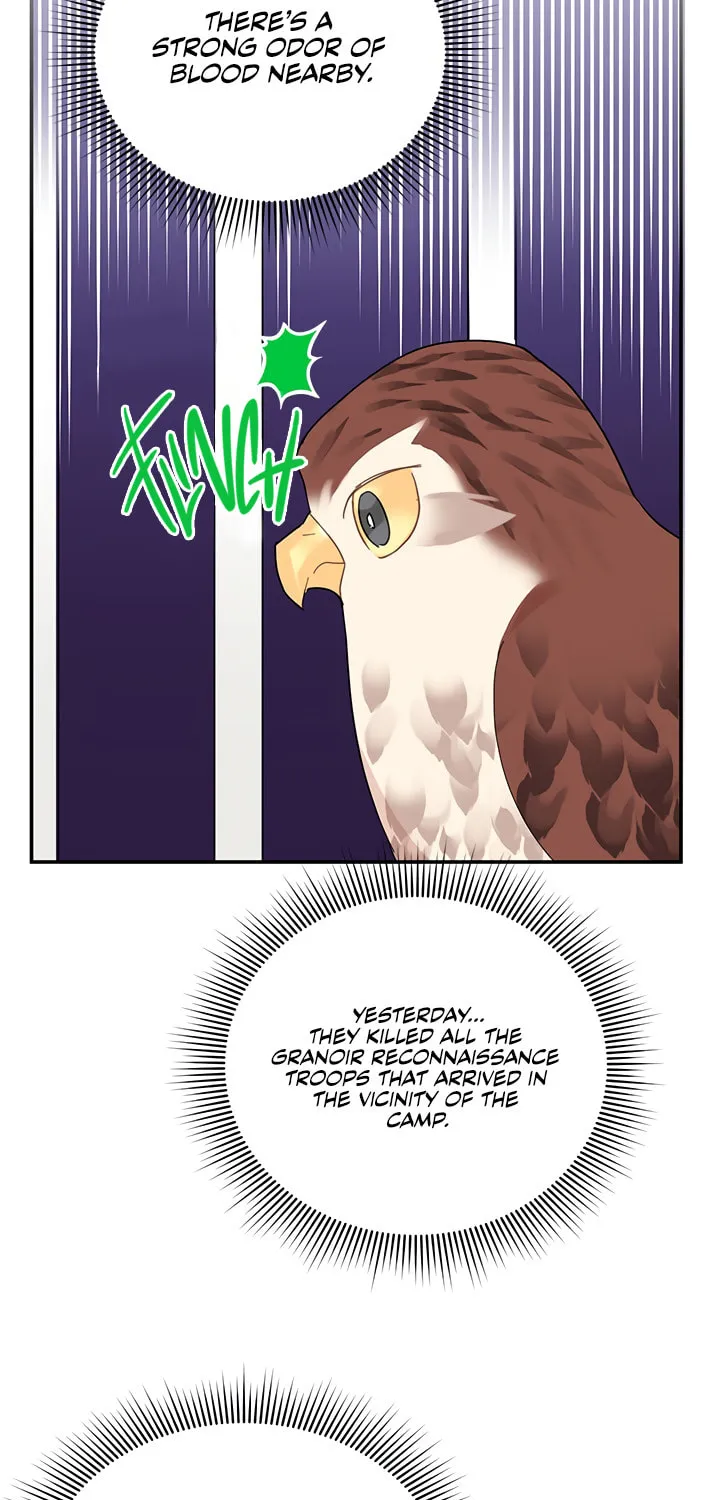 The Falcon Princess Chapter 22 page 16 - 