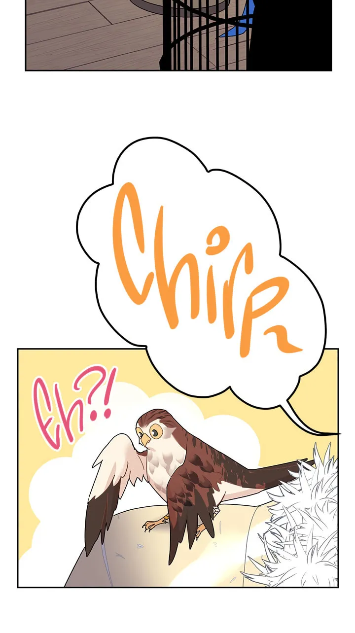 The Falcon Princess Chapter 22 page 65 - 