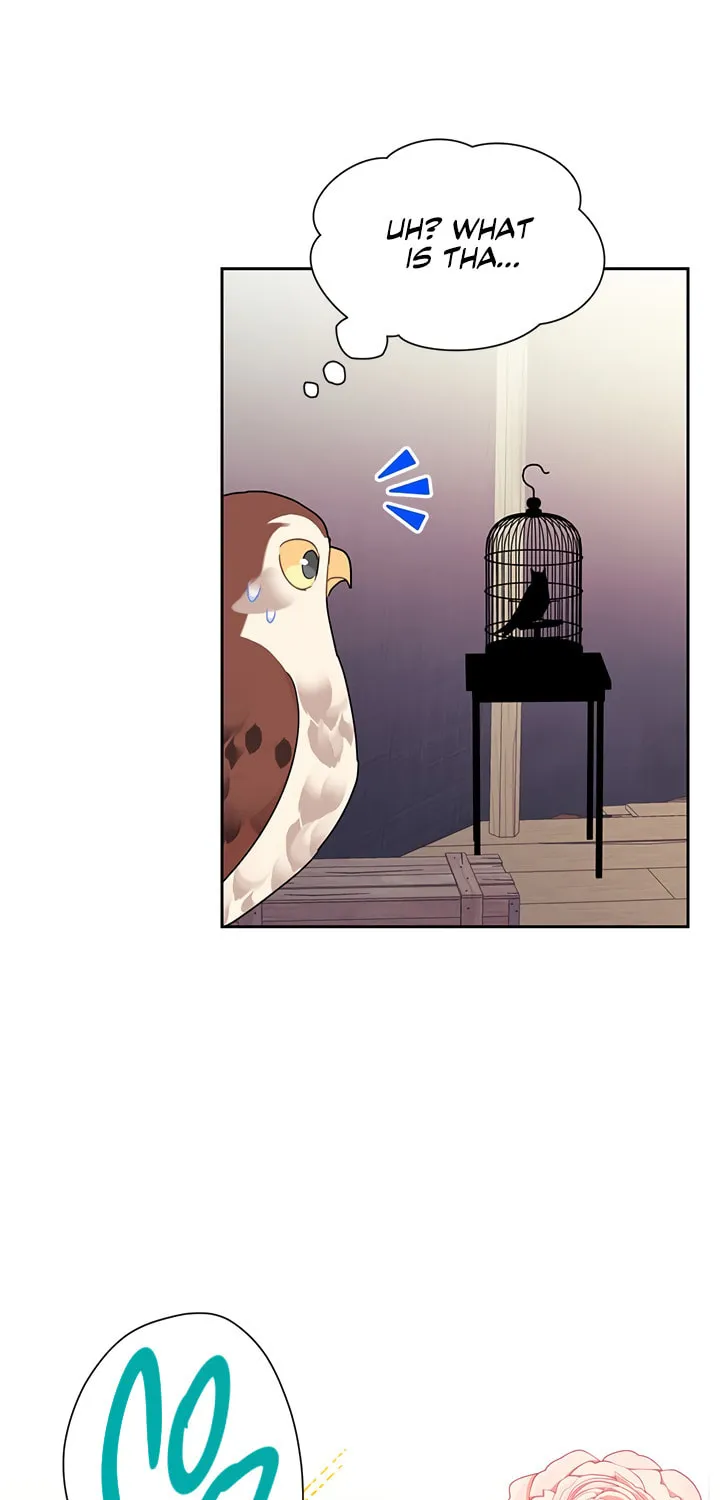The Falcon Princess Chapter 22 page 66 - 