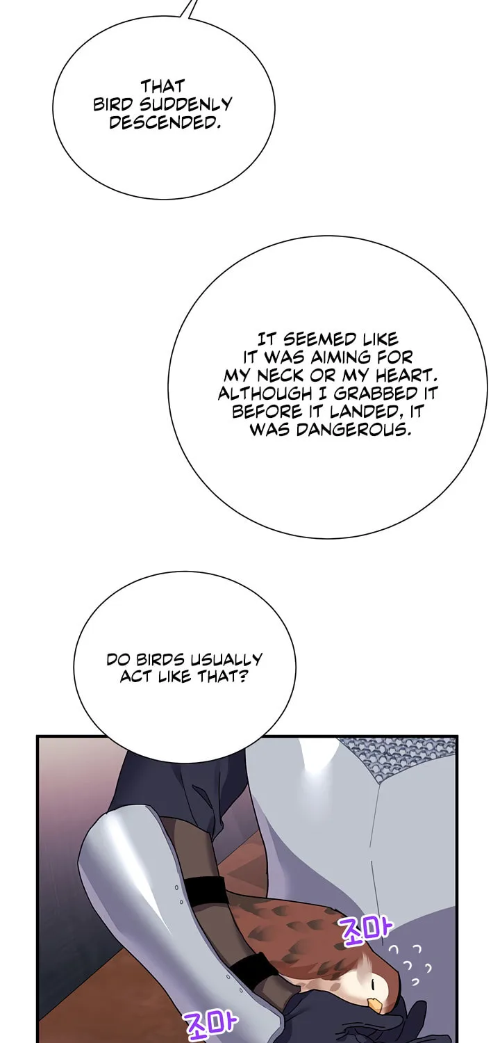 The Falcon Princess Chapter 3 page 39 - 