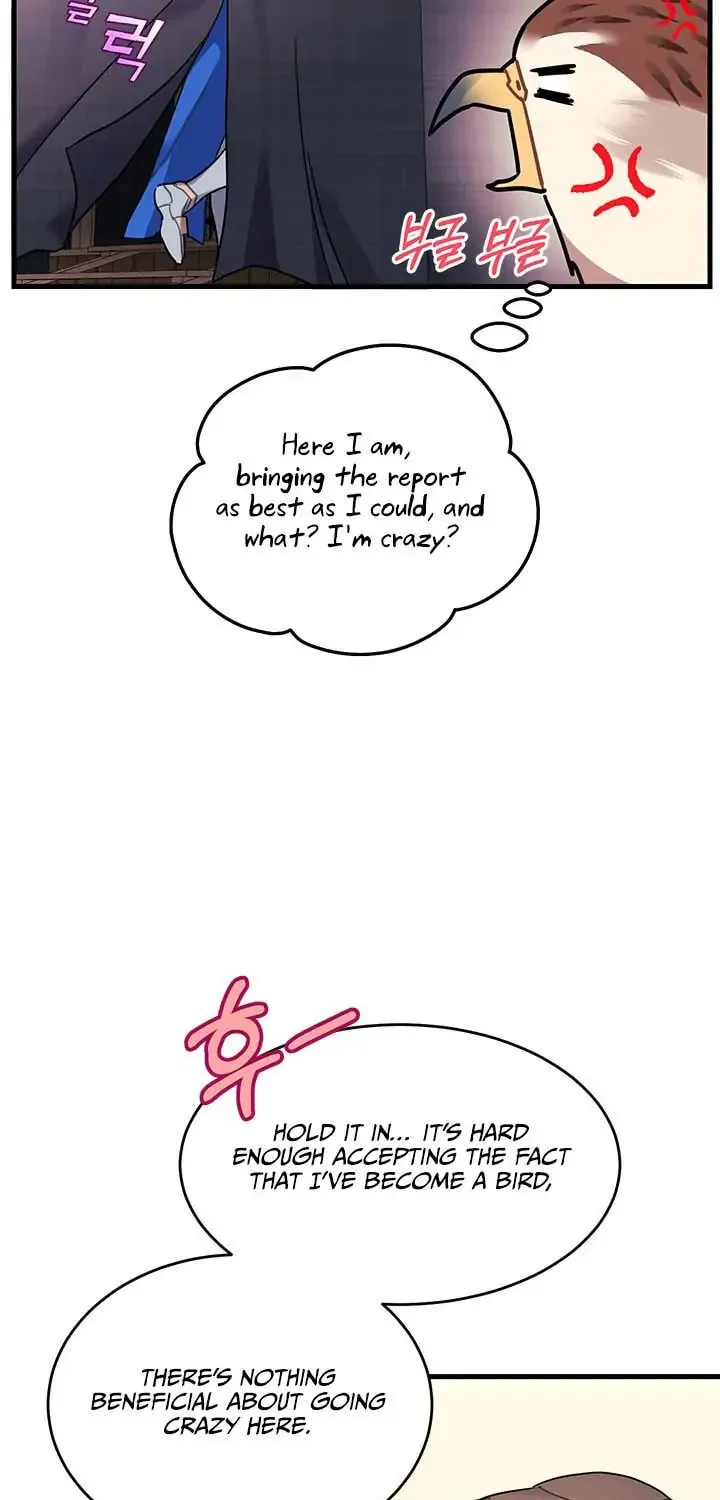 The Falcon Princess Chapter 4.1 page 17 - 