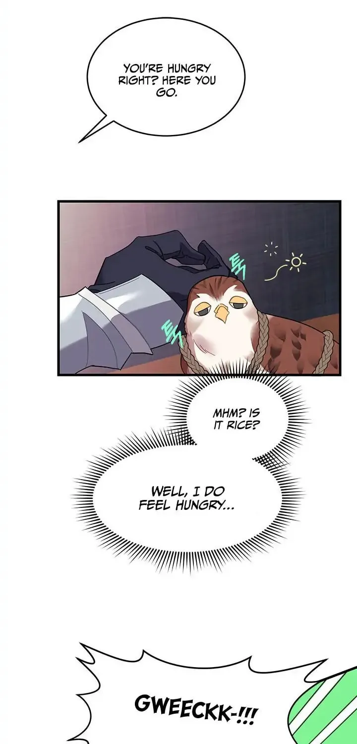 The Falcon Princess Chapter 4.1 page 25 - 