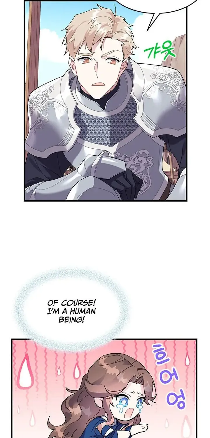 The Falcon Princess Chapter 4.1 page 27 - 