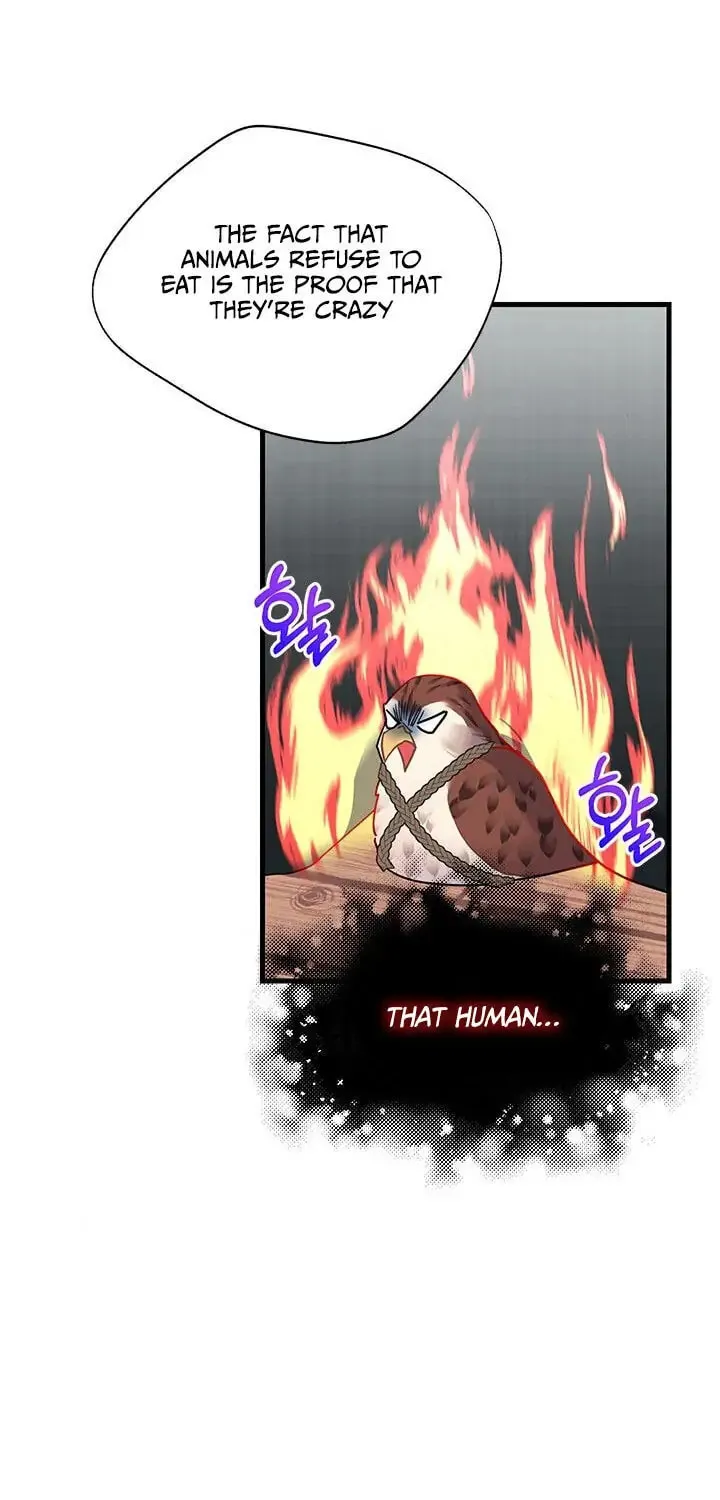 The Falcon Princess Chapter 4.1 page 37 - 