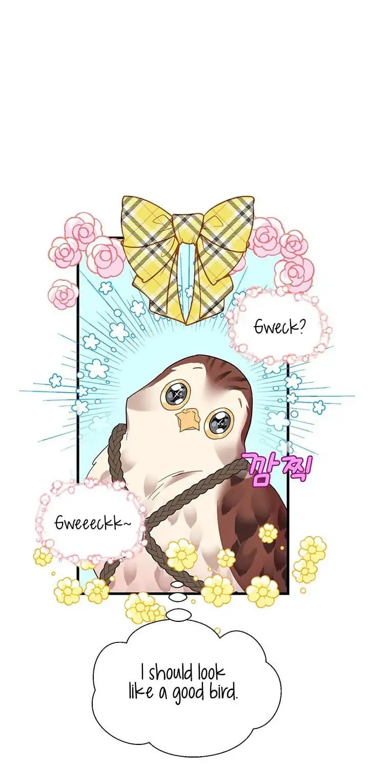 The Falcon Princess Chapter 4.1 page 46 - 