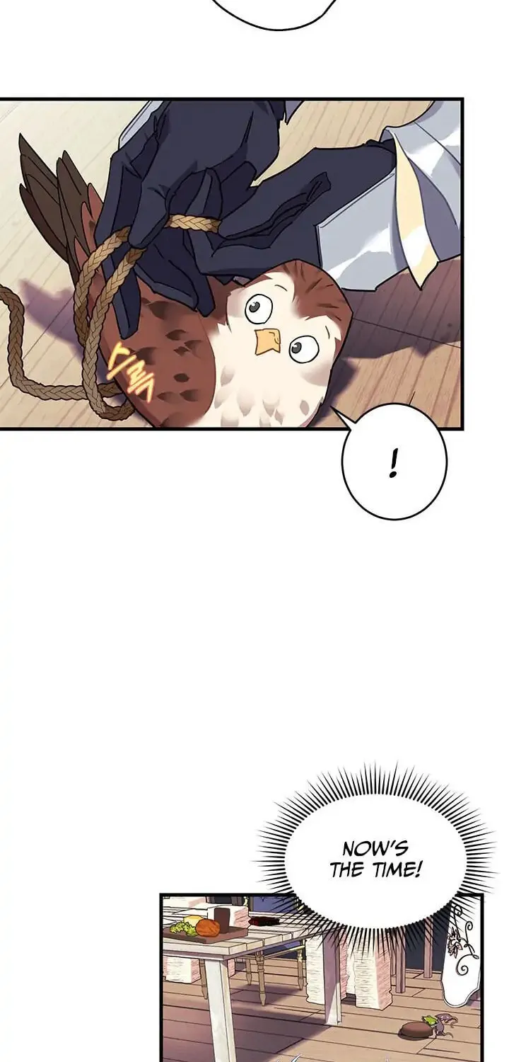 The Falcon Princess Chapter 4.1 page 67 - 