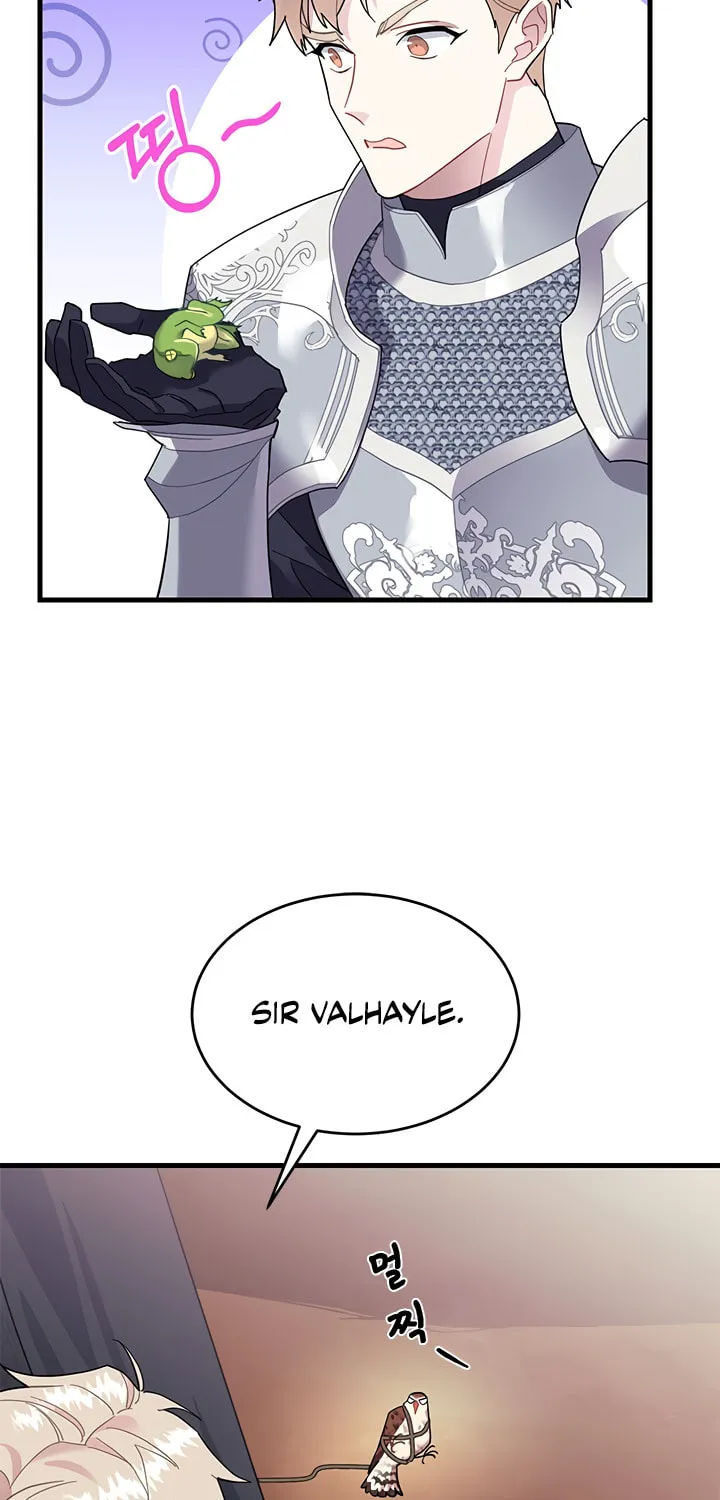 The Falcon Princess Chapter 4 page 29 - 