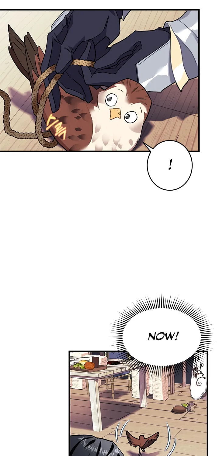 The Falcon Princess Chapter 4 page 64 - 
