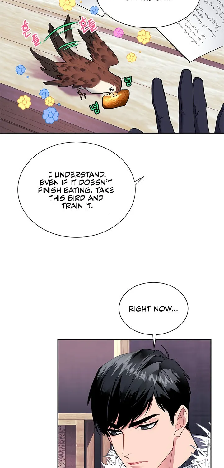 The Falcon Princess Chapter 5 page 14 - 