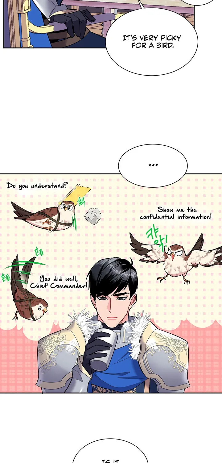 The Falcon Princess Chapter 5 page 17 - 