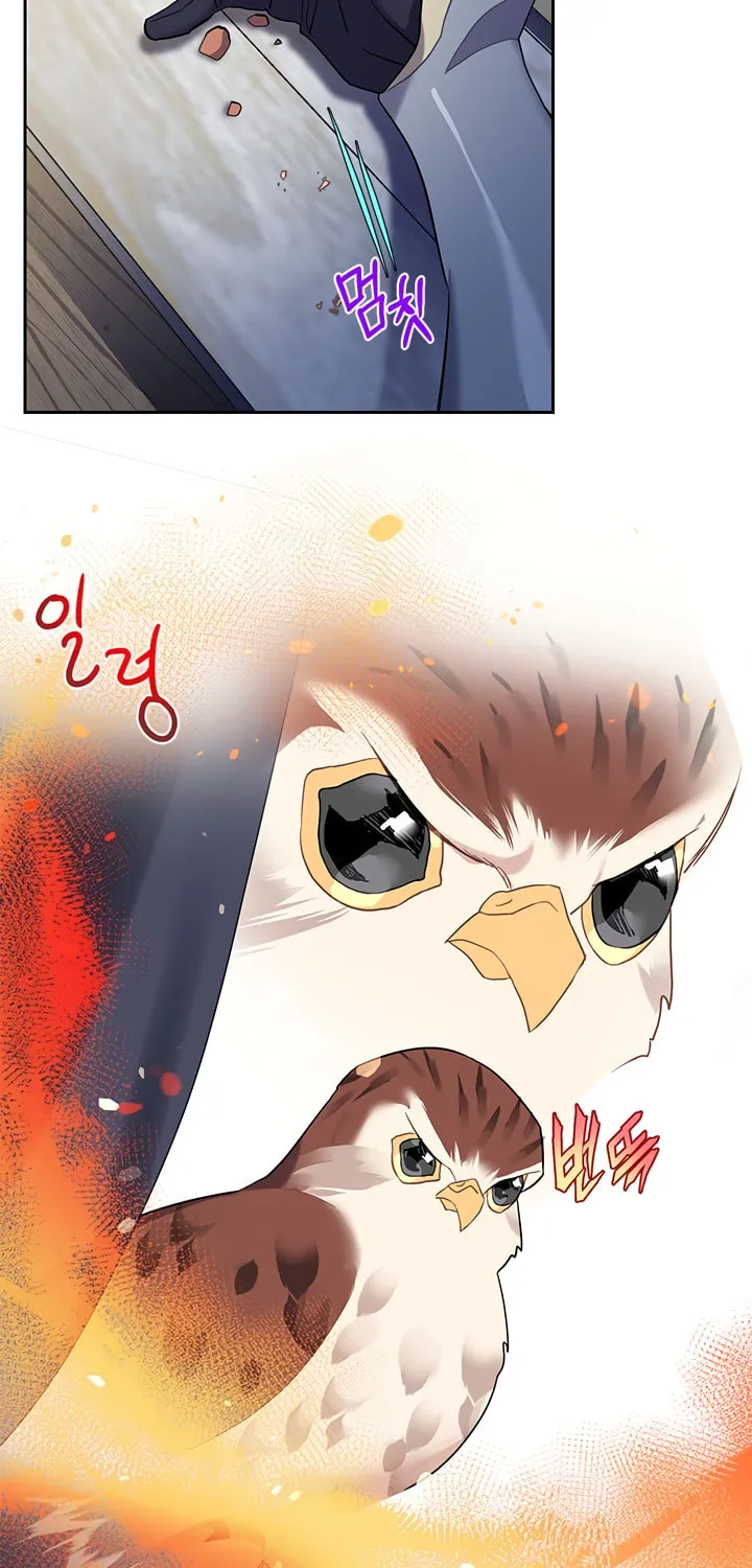The Falcon Princess Chapter 5 page 31 - 
