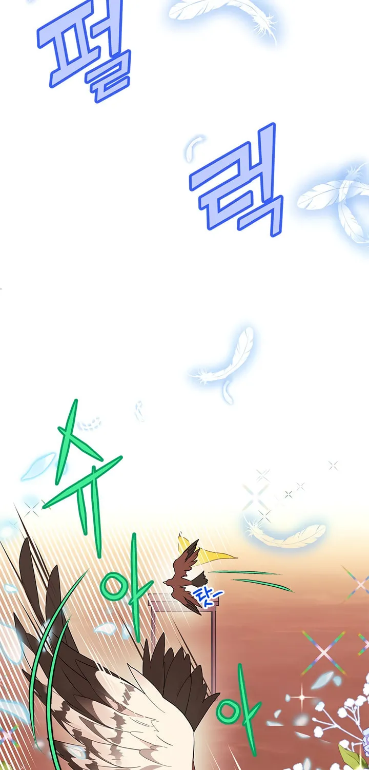 The Falcon Princess Chapter 5 page 36 - 
