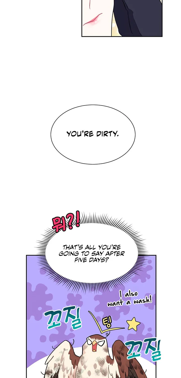 The Falcon Princess Chapter 5 page 46 - 
