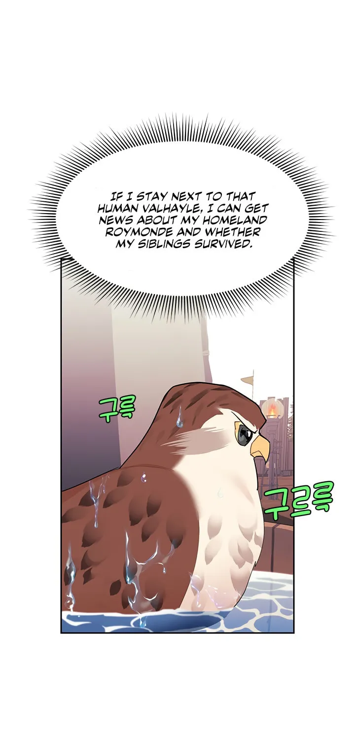 The Falcon Princess Chapter 6 page 22 - 