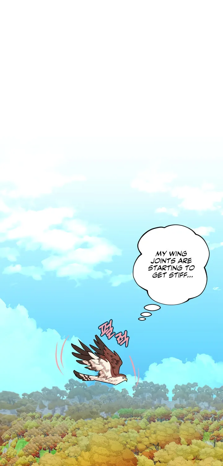 The Falcon Princess Chapter 7 page 17 - 