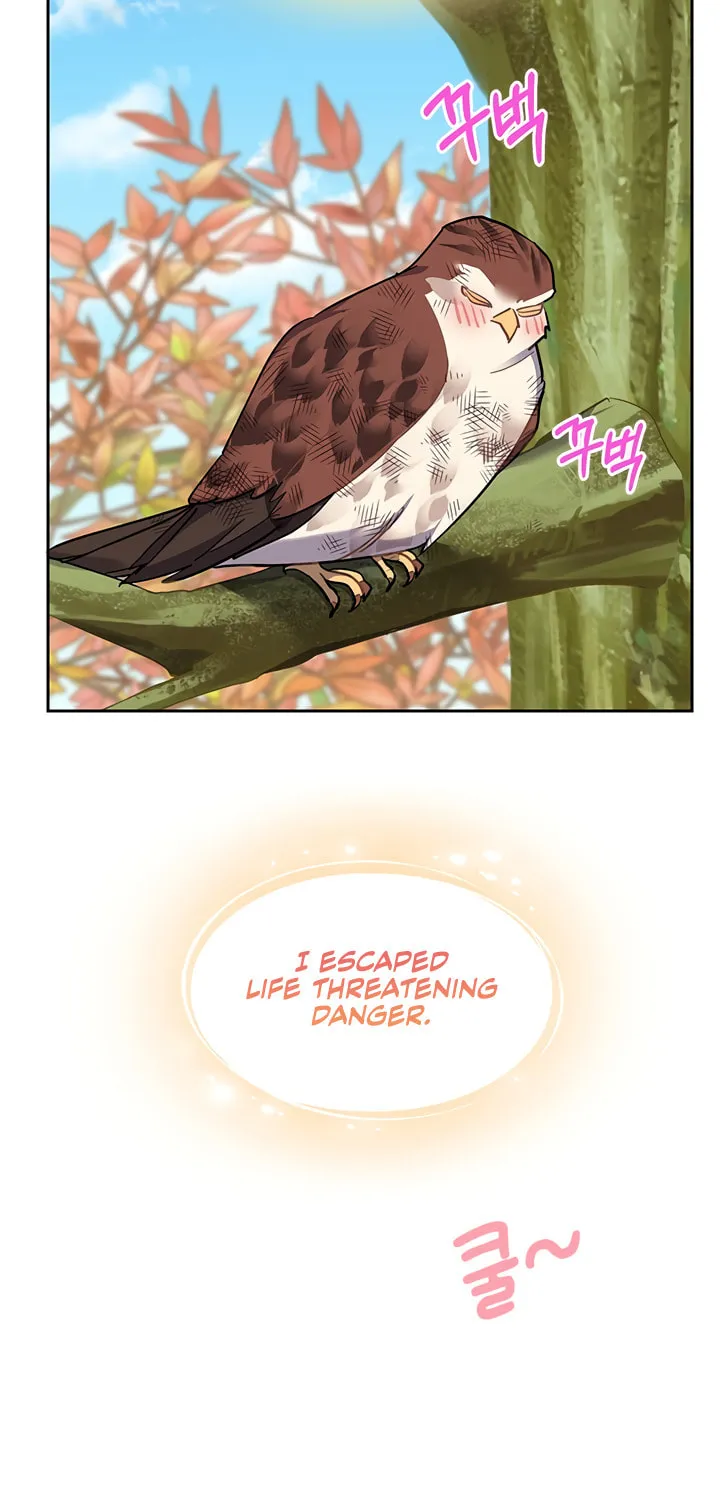 The Falcon Princess Chapter 7 page 30 - 