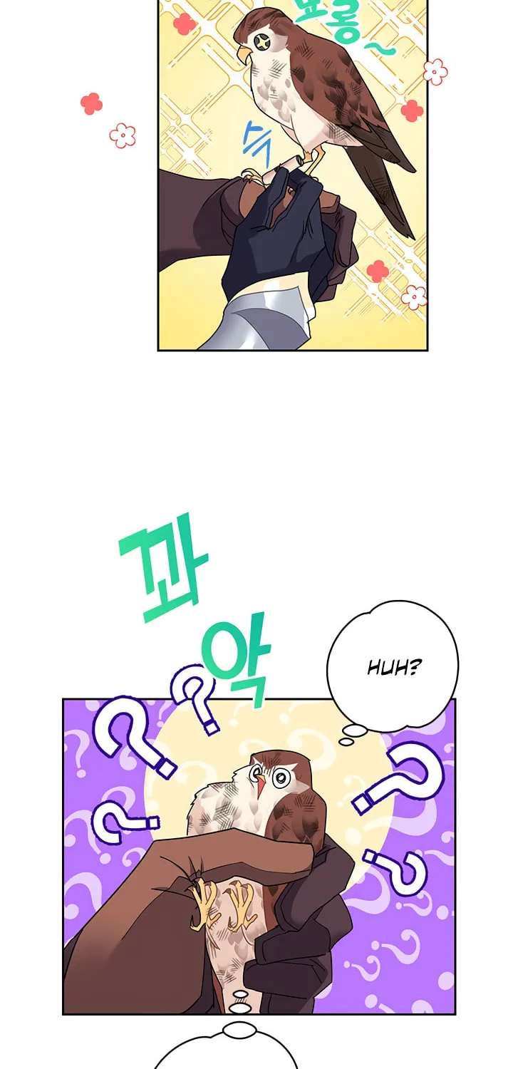 The Falcon Princess Chapter 7 page 52 - 