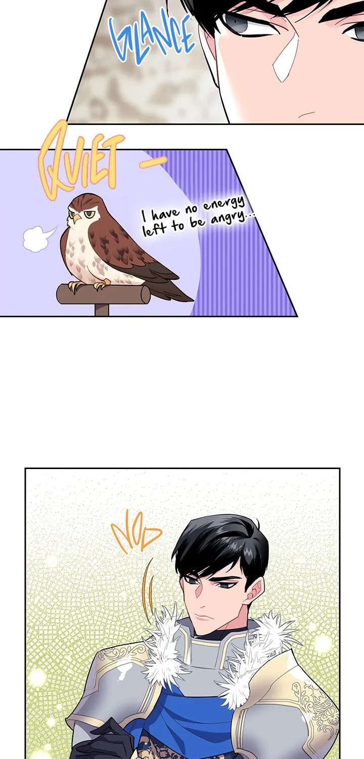 The Falcon Princess Chapter 8 page 38 - 