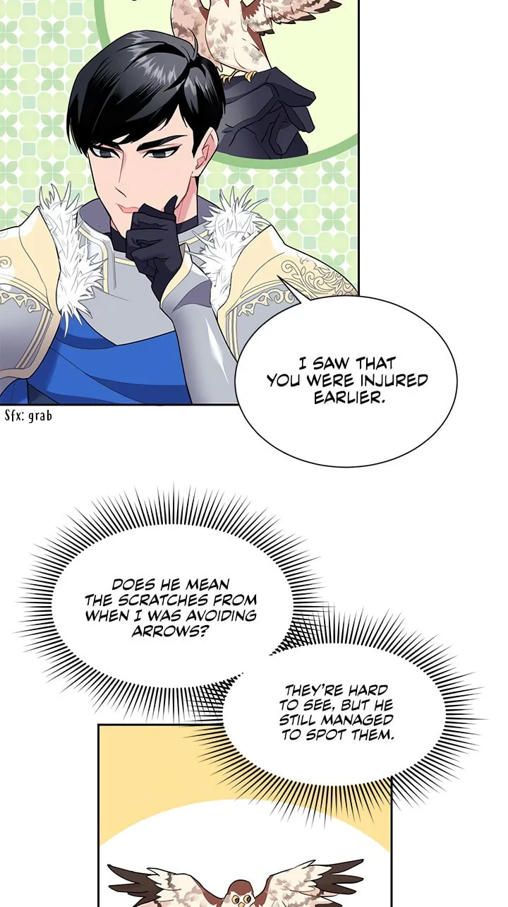 The Falcon Princess Chapter 8 page 42 - 