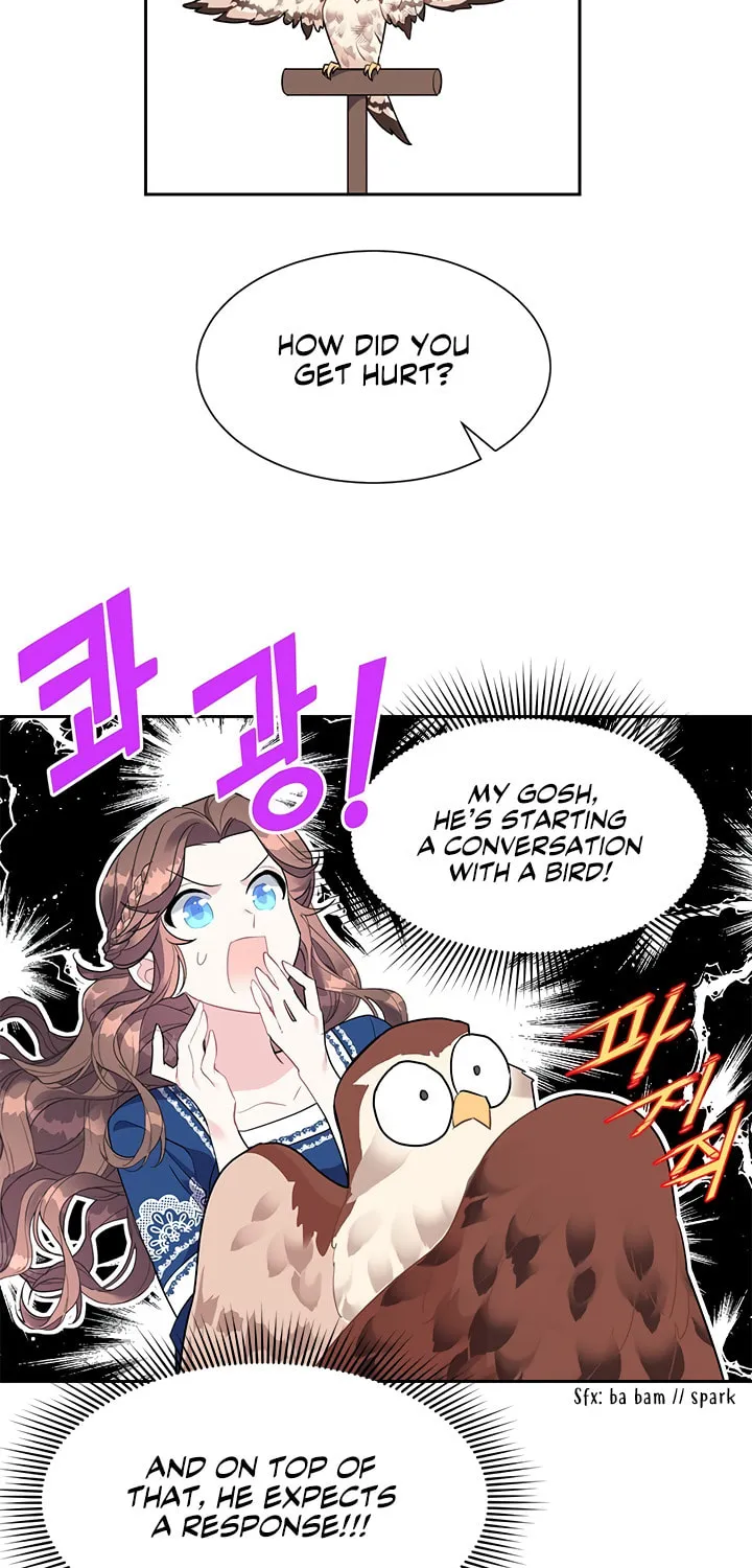 The Falcon Princess Chapter 8 page 43 - 