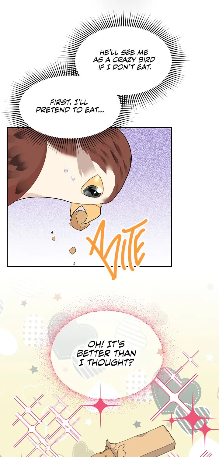 The Falcon Princess Chapter 9 page 20 - 