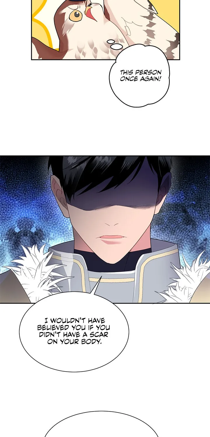 The Falcon Princess Chapter 9 page 26 - 