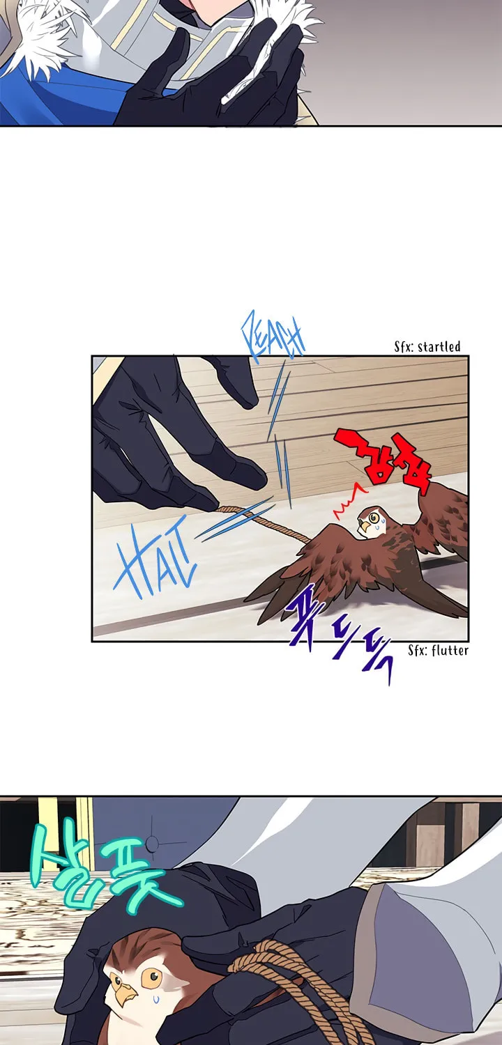 The Falcon Princess Chapter 9 page 44 - 