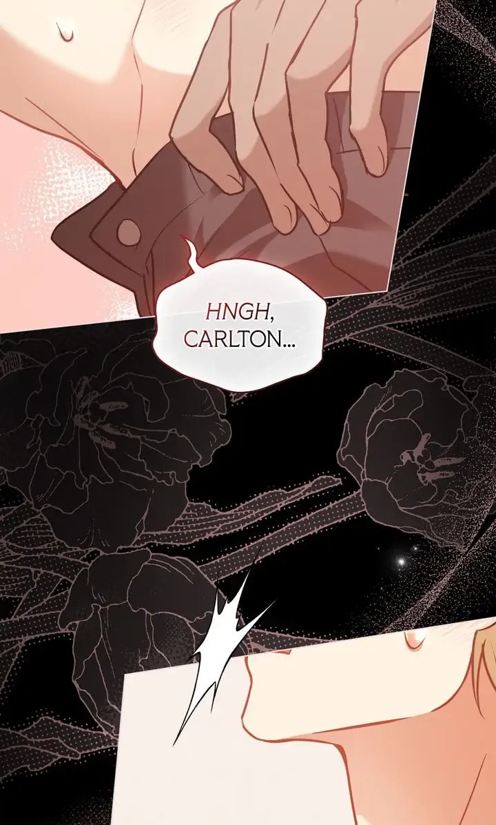 The Fallen Duke & the Knight Who Hated Him Chapter 28 page 68 - 
