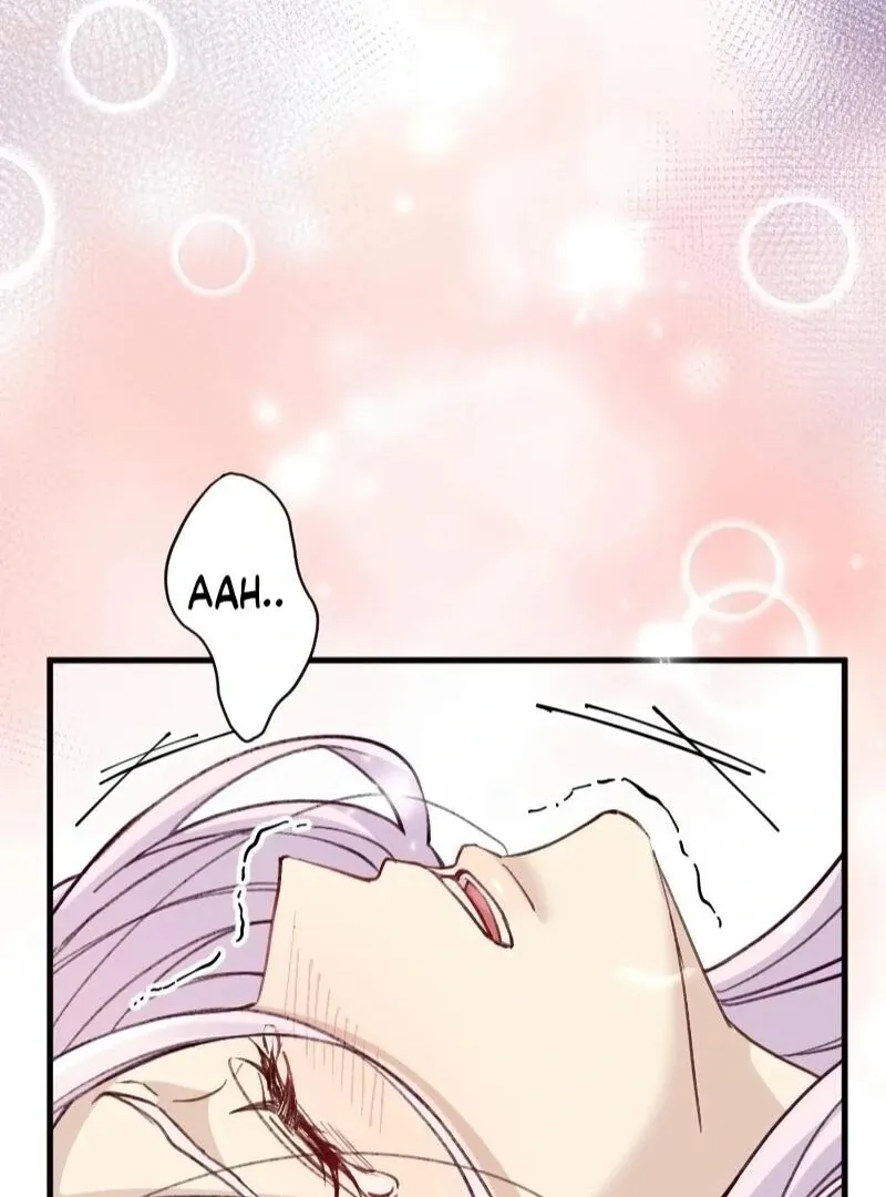 The False Saintess is Embraced by Her First Love, the Count Chapter 1 page 34 - 