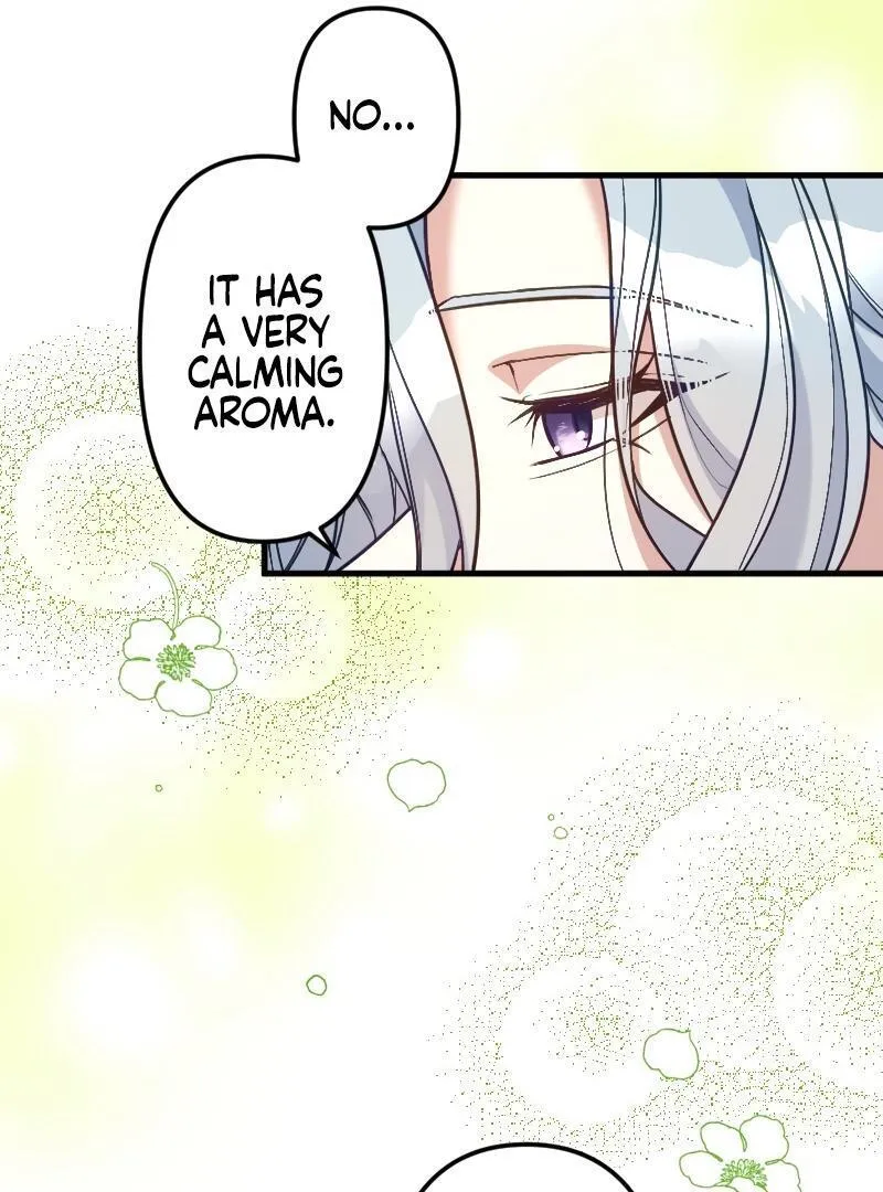 The False Saintess is Embraced by Her First Love, the Count Chapter 12 page 31 - 
