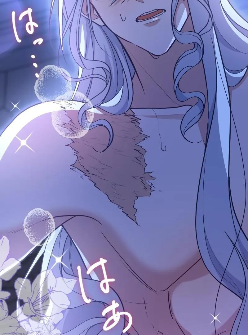 The False Saintess is Embraced by Her First Love, the Count Chapter 16 page 19 - 