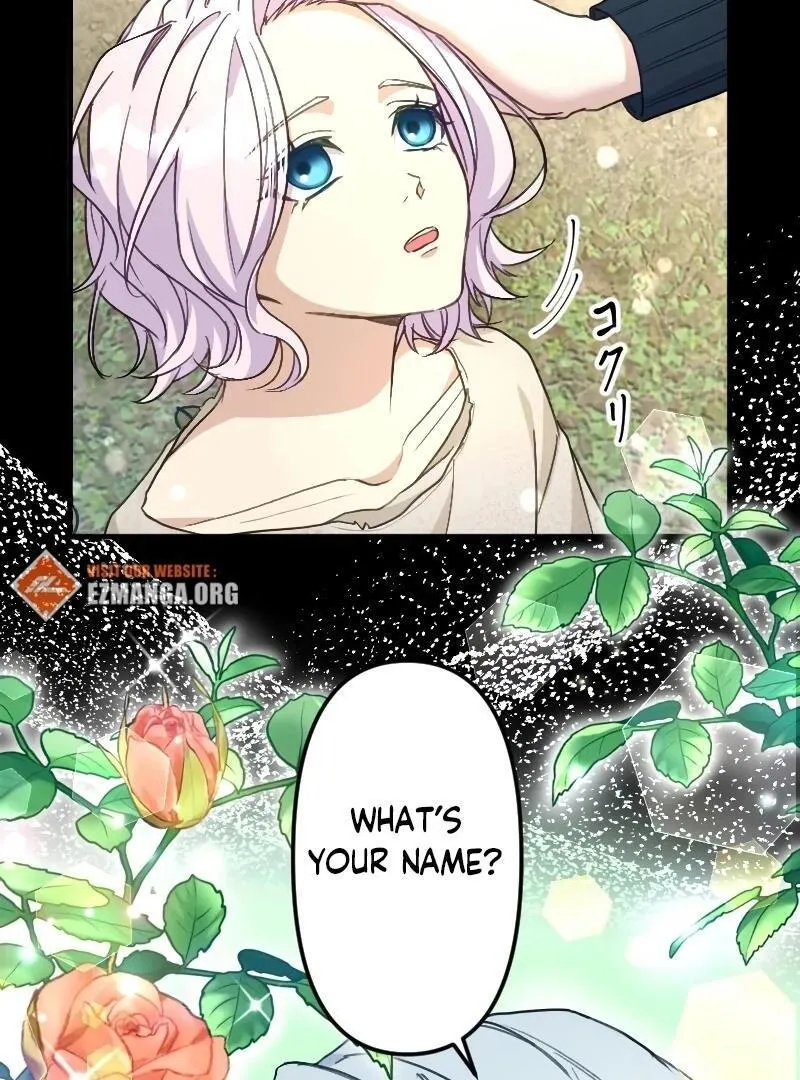 The False Saintess is Embraced by Her First Love, the Count Chapter 2 page 24 - 