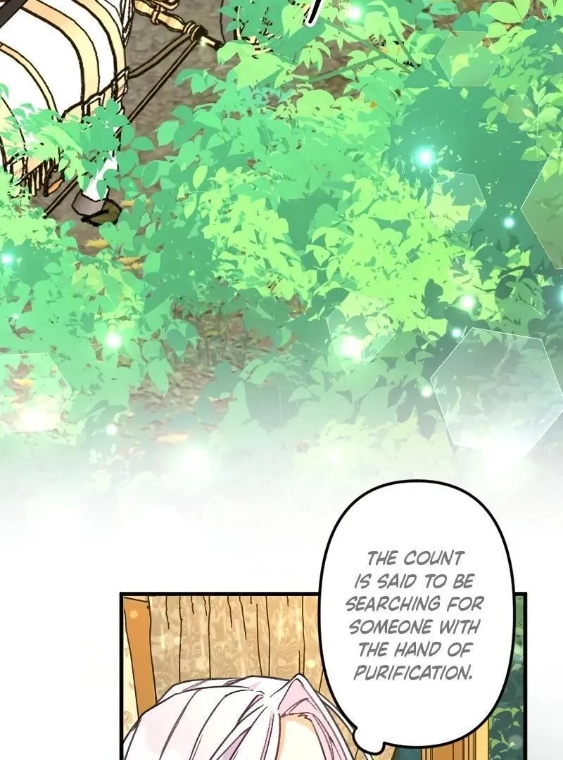 The False Saintess is Embraced by Her First Love, the Count Chapter 3 page 8 - 