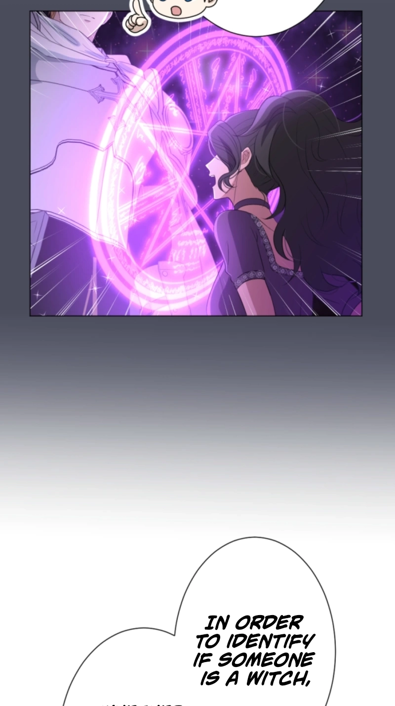 The Falsely Accused Villainess Can